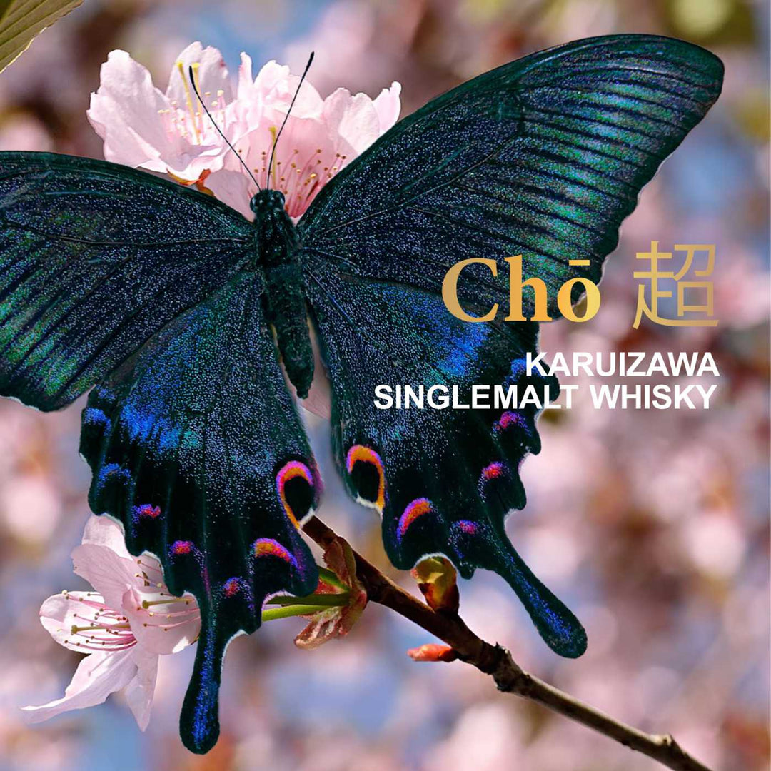 Karuizawa CHO 1999 2000 Vintage Butterfly CHO